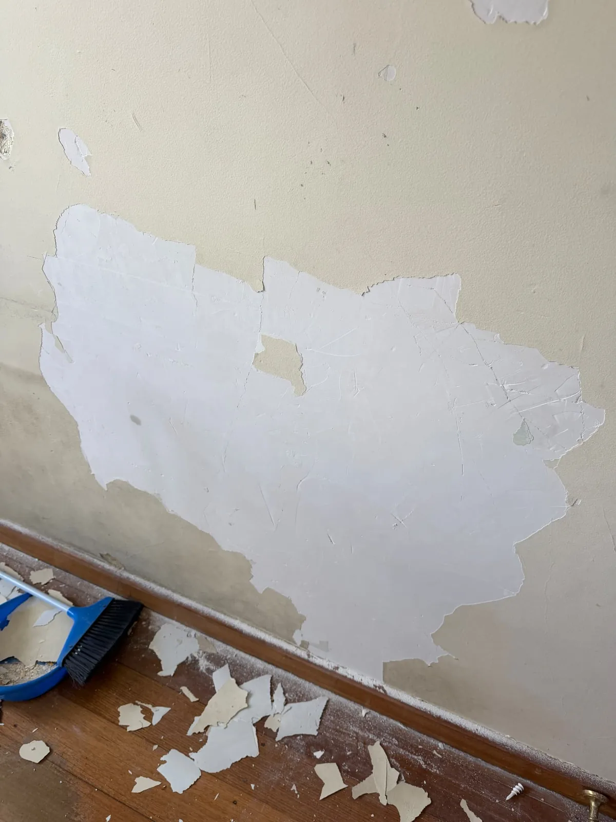 Flaking paint scraped back from an interior wall in Yarraville, exposing bare patches before repainting