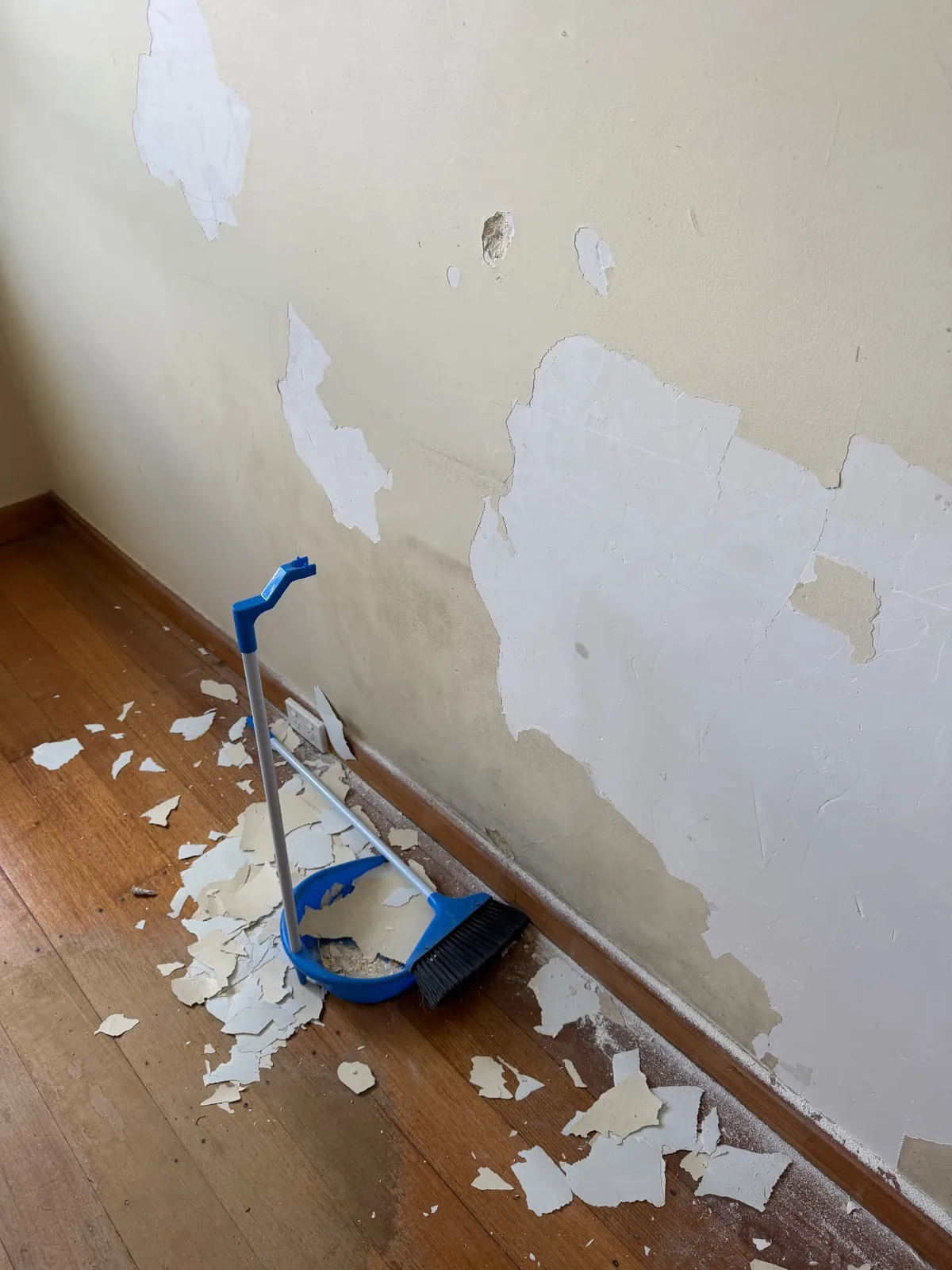 Interior wall in Yarraville with loose paint scraped away along the skirting during preparation, with bare timber floorboards and dustpan in view